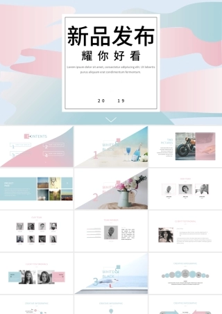 静谧蓝与蔷薇粉简约商业计划书创业计划书新品发布产品发布PPT.pptx