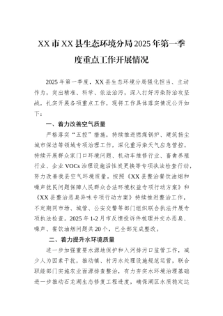 XX市XX县生态环境分局2025年第一季度重点工作开展情况.docx