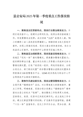 县公安局2025年第一季度重点工作落实情况.docx