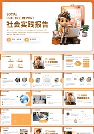 社会工作实践报告PPT简洁精美行业通用模板.pptx