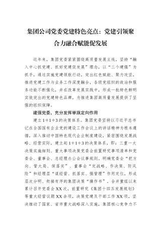 集团公司党委党建特色亮点：党建引领聚合力融合赋能促发展.docx