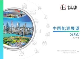 中国石化-中国能源展望2060（2024年版）-2023.12-107页.pdf