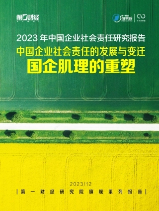 中国企业社会责任的发展与变迁-32页.pdf