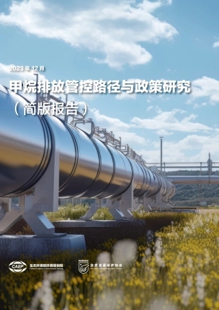 中国甲烷排放管控路径与政策研究-33页.pdf