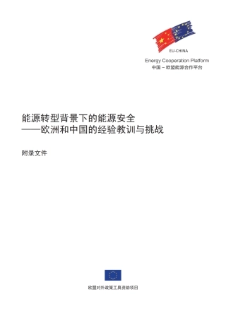 能源转型背景下的能源安全—欧洲和中国的经验教训与挑战 附录文件-160页.pdf