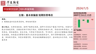 生猪：基本面偏弱 短期形势难改-20240105-华安期货-15页.pdf