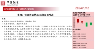 生猪：供强需弱格局 弱势局面难改-20240112-华安期货-15页.pdf