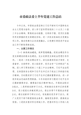 市委政法委上半年党建工作总结.docx
