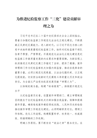 为推进纪检监察工作“三化”建设贡献审理之为.docx