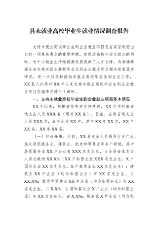 县未就业高校毕业生就业情况调查报告.docx