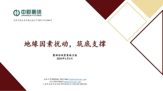 聚烯烃投资策略月报：地缘因素扰动，筑底支撑-20240105-中财期货-31页.pdf