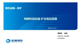 黑色金属—铁矿：吨钢利润压缩 矿价高位回落-20240110-宏源期货-29页.pdf