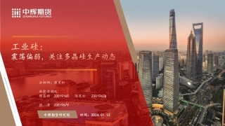 工业硅：震荡偏弱，关注多晶硅生产动态-20240112-中辉期货-18页.pdf