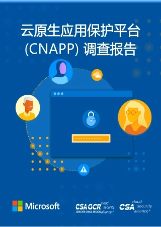 云原生应用保护平台(CNAPP)调查报告-32页.pdf