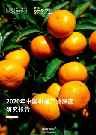 唯恒农业-2020年中国柑橘产业深度研究报告-26页.pdf