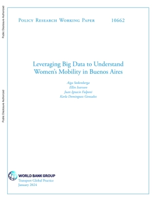 世界银行-利用大数据了解布宜诺斯艾利斯女性的流动性（英）-2024.1-14页.pdf