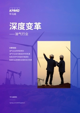 深度变革——油气行业-30页.pdf