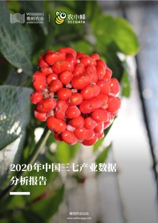 农小蜂-中国三七产业数据分析简报-14页.pdf