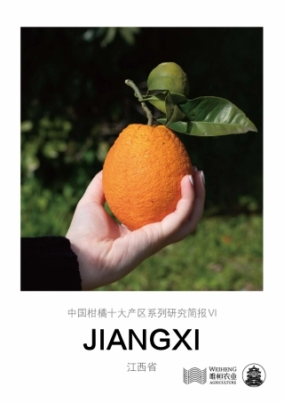 农小蜂-中国柑橘十大产区系列研究简报（六）-江西省-12页.pdf