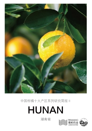 农小蜂-中国柑橘十大产区系列研究简报（二）-湖南省-11页.pdf