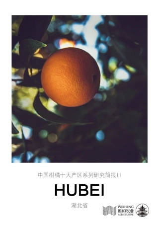农小蜂-中国柑橘十大产区系列研究简报（三）-湖北省-12页.pdf