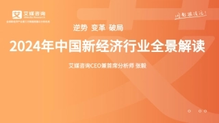 2024年中国新经济行业全景解读报告-123页.pdf