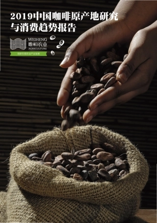 2019中国咖啡原产地研究与消费趋势报告-35页.pdf