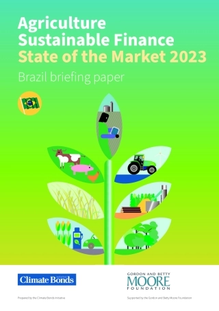 2023 年农业可持续金融市场状况 - 巴西简报（英）-8页.pdf