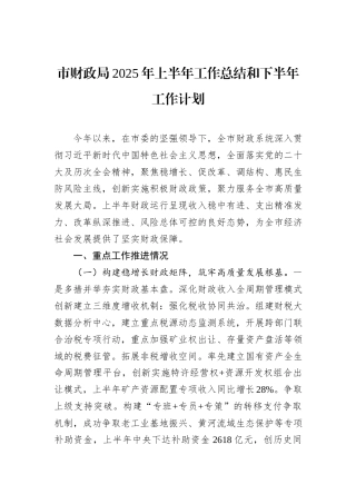 市财政局2025年上半年工作总结和下半年工作计划.docx