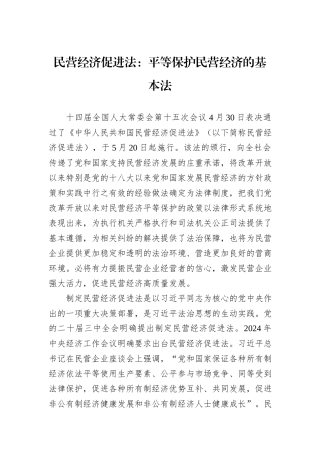 民营经济促进法：平等保护民营经济的基本法.docx