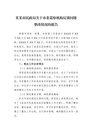 某某市民政局关于市委巡察机构反馈问题整改情况的报告.docx
