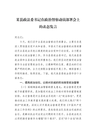 某县政法委书记在政治督察动员部署会上的表态发言.docx