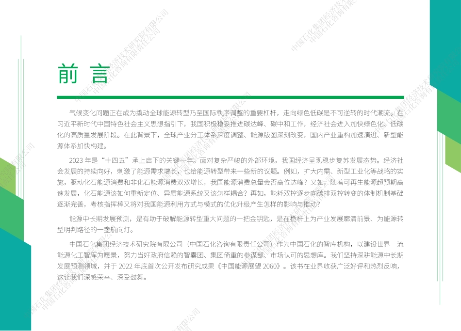 中国能源展望2060（2024年版）-中国石化-2024-107页.pdf_第3页