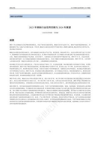 2023年钢铁行业信用回顾与2024年展望-23页.pdf