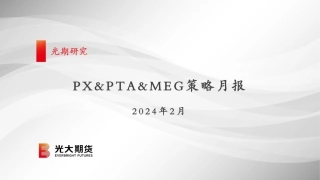PX&PTA&MEG策略月报-20240129-光大期货-48页.pdf