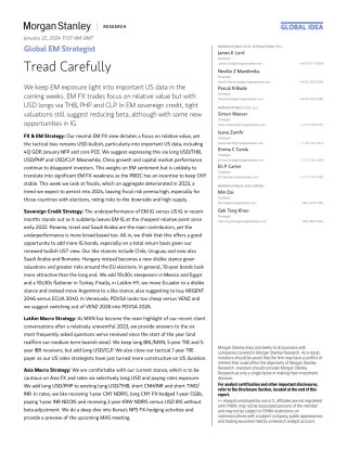 Morgan Stanley Fixed-Global EM Strategist Tread Carefully-106077367.pdf
