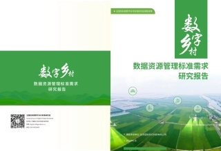 数字乡村数据资源管理标准需求研究报告-30页.pdf