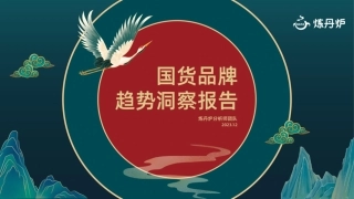 国货品牌趋势洞察报告（2023.12）-46页.pdf