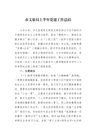 市文旅局上半年党建工作总结.docx