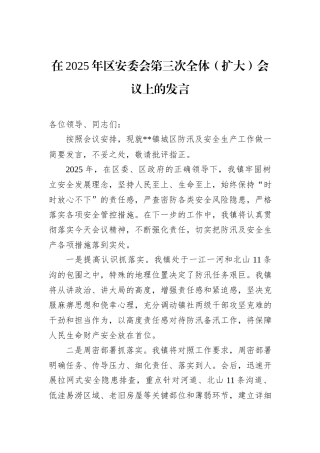 在2025年区安委会第三次全体（扩大）会议上的发言.docx