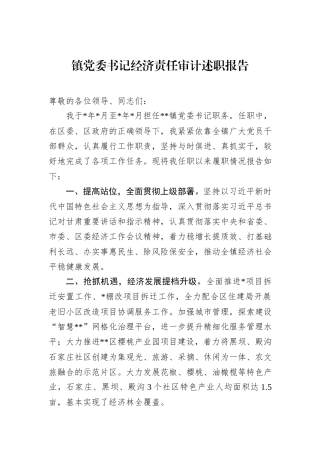 镇党委书记经济责任审计述职报告.docx