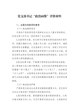 党支部书记“政治画像”评价材料.docx