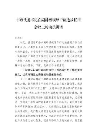 市政法委书记在副科级领导干部选拔任用会议上的动员讲话.docx