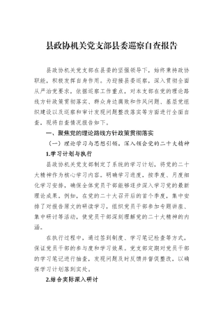 县政协机关党支部县委巡察自查报告.docx