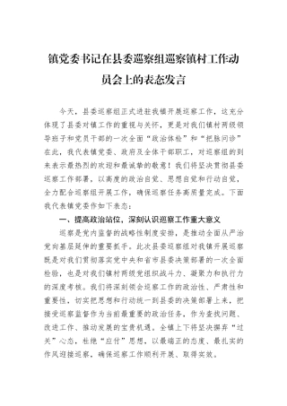 镇党委书记在县委巡察组巡察镇村工作动员会上的表态发言.docx