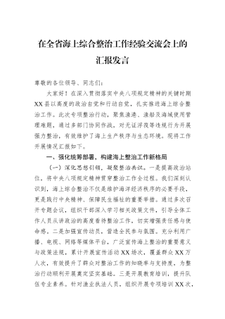 在全省海上综合整治工作经验交流会上的汇报发言.docx