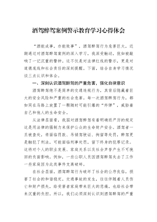 酒驾醉驾案例警示教育学习心得体会.docx