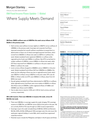 Morgan Stanley Fixed-EM Fixed Income Flows Update Where Supply Meets Demand-106557912.pdf