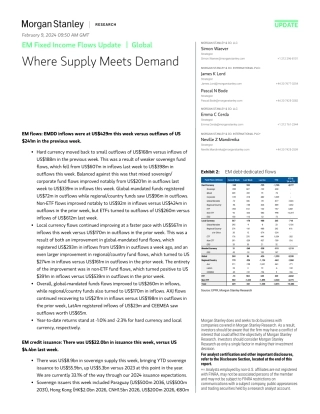 Morgan Stanley Fixed-EM Fixed Income Flows Update Where Supply Meets Demand-106439468.pdf