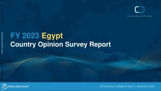 世界银行-2023财年埃及国家意见调查报告（英）-2023-42页.pdf
